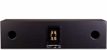 Tontechnik AQ Labrador 176 MKIII Černý jasan