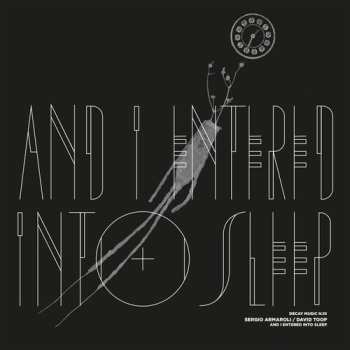 Album Armaroli,sergio / Toop,david: Decay Music N10: & I Entered Into Sleep