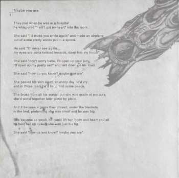 CD Asaf Avidan & The Mojos: The Reckoning