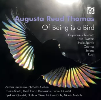 Of Being A Bird 