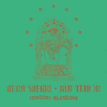 CD Jimi Tenor: Sensory Blending