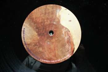 2LP Avey Tare's Slasher Flicks: Enter The Slasher House