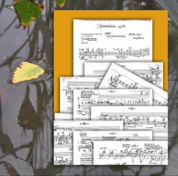 SACD Frederik Munk Larsen: Floating Islands