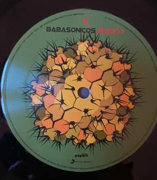 LP Babasonicos: Jessico