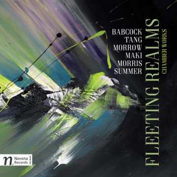 Album Babcock / Masek / Fry: Fleeting Realms