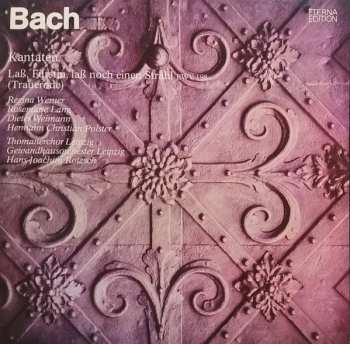 LP Johann Sebastian Bach: Kantaten