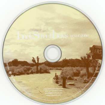 CD Backstreet Boys: Never Gone