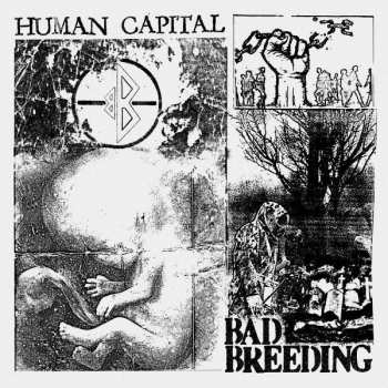 CD Bad Breeding: Human Capital