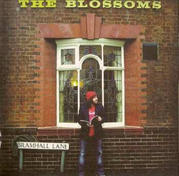 CD Badly Drawn Boy: One Plus One Is One