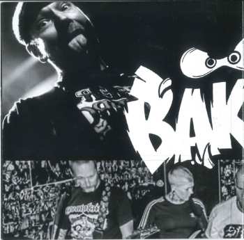 CD Bakkes: How II Bakkes LTD