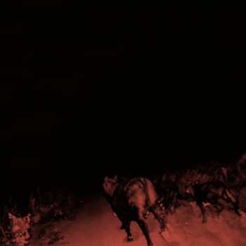 Album Bambara: Shadow On Everything