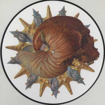 LP Baroness: Morningstar LTD | PIC