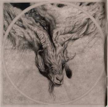 2CD Baroness: Yellow & Green