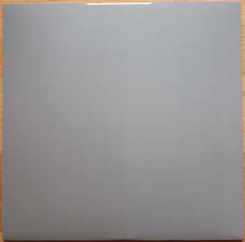 LP Barzin: Voyeurs In The Dark LTD