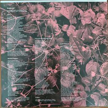 2LP Basia Bulat: The Garden