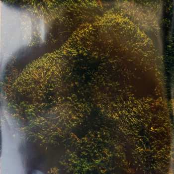 LP Baths: Romaplasm CLR | LTD