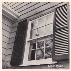 Album Beach Fossils: What A Pleasure