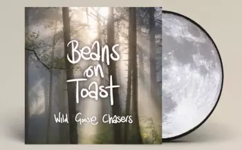 Beans On Toast: Wild Goose Chasers