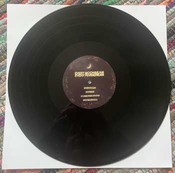 LP Bears In Trees: Every Moonbeam Every Feverdream