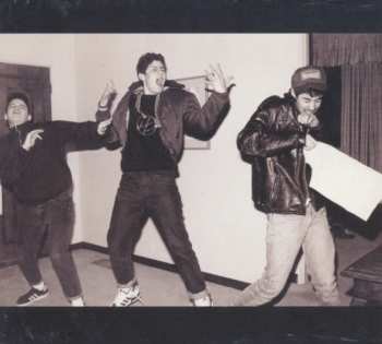 CD Beastie Boys: Solid Gold Hits DIGI