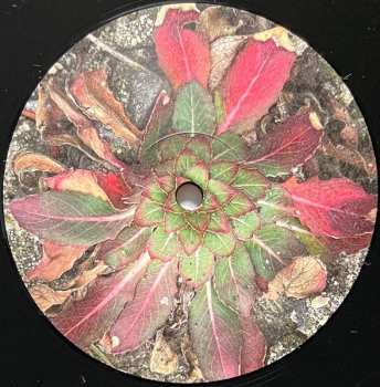 LP Bed Maker: Bed Maker