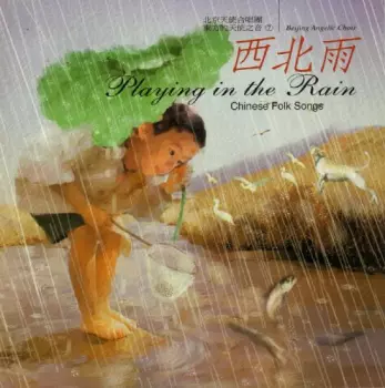 西北雨 (Playing in the Rain)