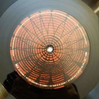 2LP Ben Harper: Welcome To The Cruel World