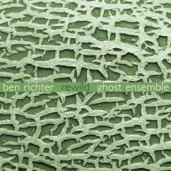 Ben Richter: Rewild