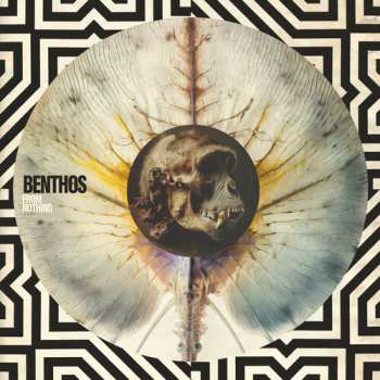 CD Benthos: From Nothing