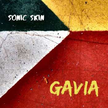 Album Berggren,sven / Sonic Skin: Gavia