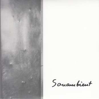 11CD/Box Set Harry Bertoia: Sonambient (Complete Collection) DLX