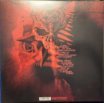 2LP/2CD/Box Set Beyond The Black: Beyond The Black LTD | NUM | CLR