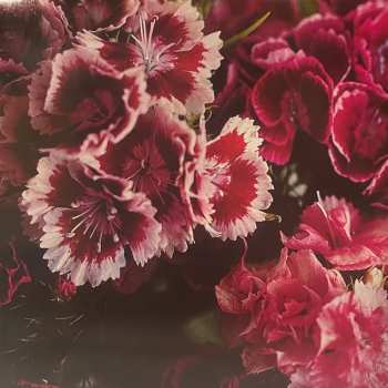 LP Biff Bang Pow!: The Girl Who Runs The Beat Hotel CLR