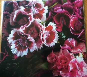 LP Biff Bang Pow!: The Girl Who Runs The Beat Hotel CLR