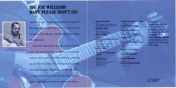 CD Big Joe Williams: Baby Please Don't Go