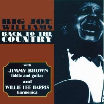 Album Big Joe Williams: Back To The Country 