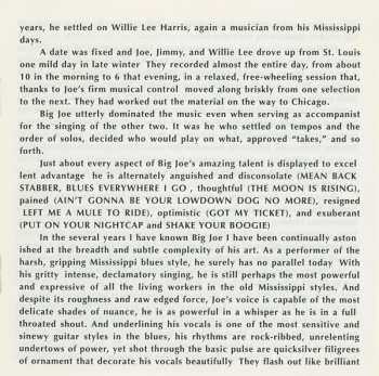 CD Big Joe Williams: Back To The Country 