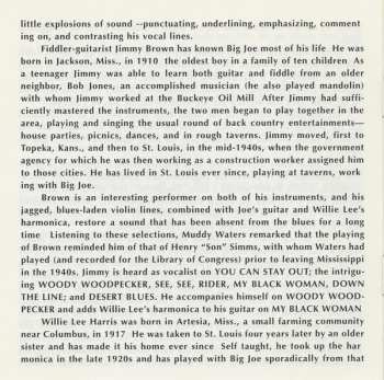 CD Big Joe Williams: Back To The Country 