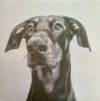 LP Big Special: Postindustrial Hometown Blues