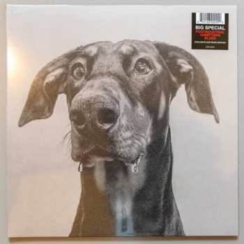 LP Big Special: Postindustrial Hometown Blues LTD