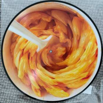 LP Bilderbuch: Live In Los Angeles PIC