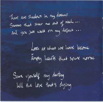 CD Birdy: Beautiful Lies