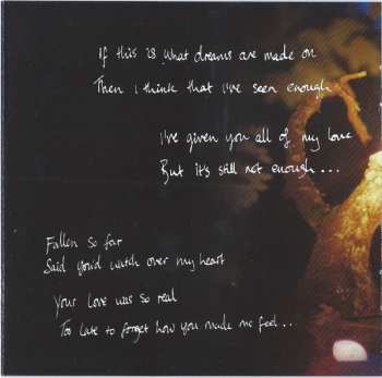 CD Birdy: Beautiful Lies