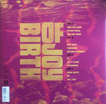 2LP Birth Of Joy: Hyper Focus LTD | CLR