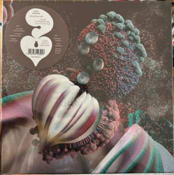 Box Set/2EP Björk: Fossoræ DLX | LTD | CLR