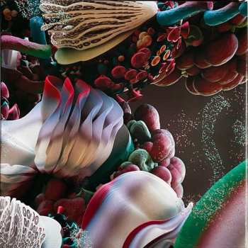 Box Set/2EP Björk: Fossoræ DLX | LTD | CLR
