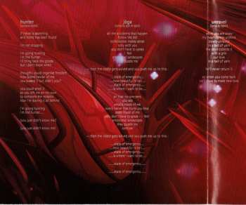 CD Björk: Homogenic