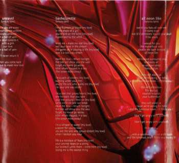 CD Björk: Homogenic