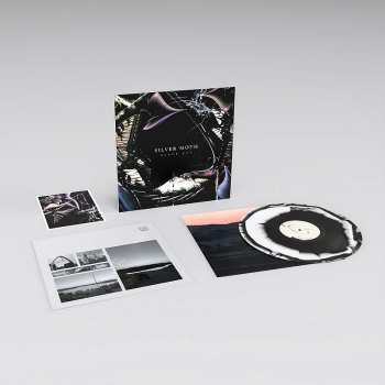 LP Silver Moth: Black Bay