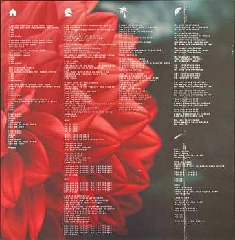 LP Black Foxxes: Black Foxxes LTD | CLR